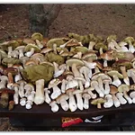 Mazurska Nyaraló Zyzdrojowy Piecek