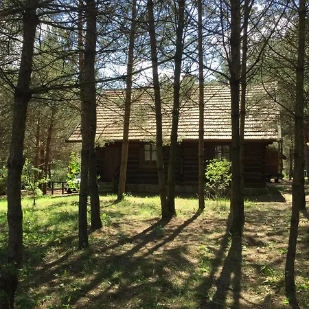 Mazurska * Zyzdrojowy Piecek