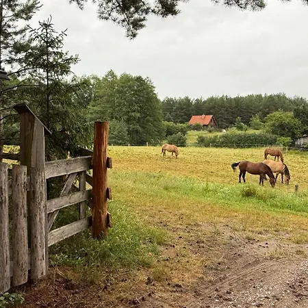 Feriehus Mazurska Zyzdrojowy Piecek