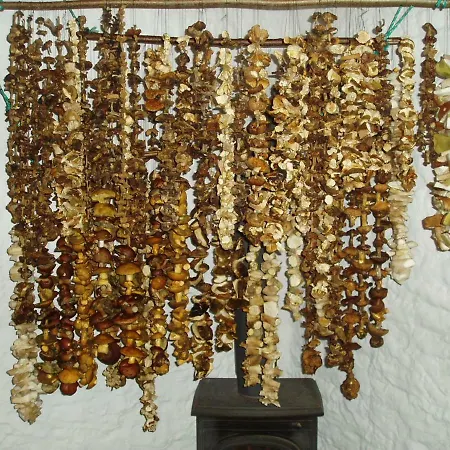 Mazurska Zyzdrojowy Piecek