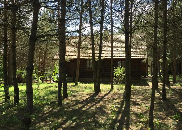 Mazurska * Zyzdrojowy Piecek